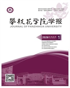 攀枝花学院学报