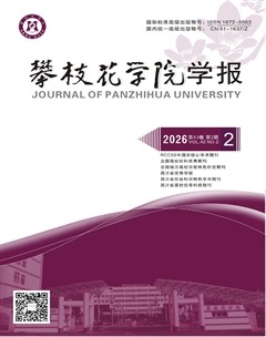 攀枝花学院学报