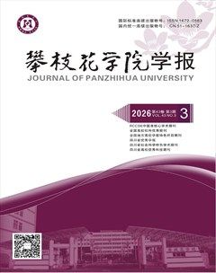 攀枝花学院学报
