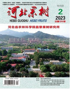 河北果树