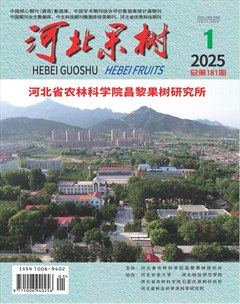 河北果树