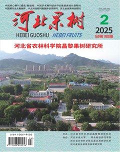 河北果树