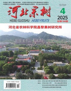 河北果树