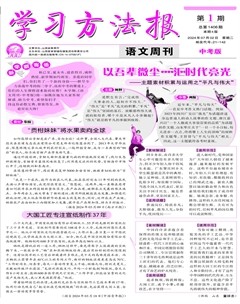 学习方法报·语文中考版