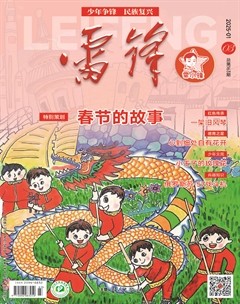 雷锋·雷小锋号