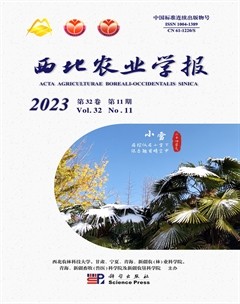 西北农业学报