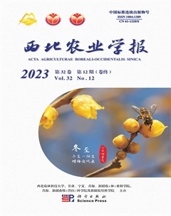 西北农业学报