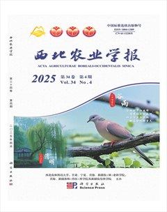 西北农业学报