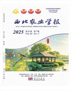 西北农业学报