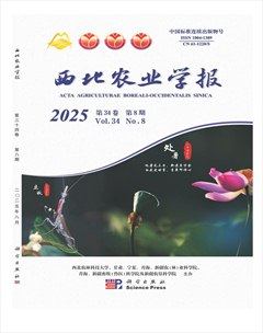 西北农业学报
