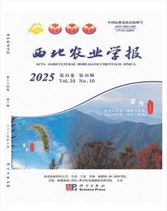 西北农业学报