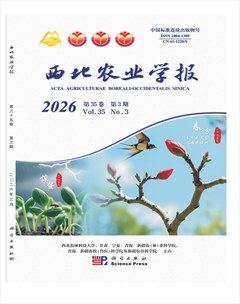 西北农业学报