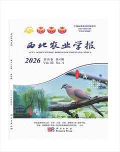西北农业学报