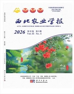 西北农业学报