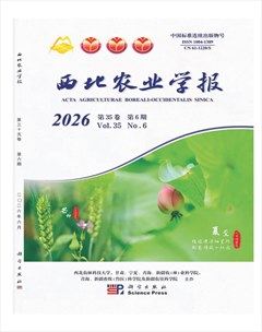 西北农业学报