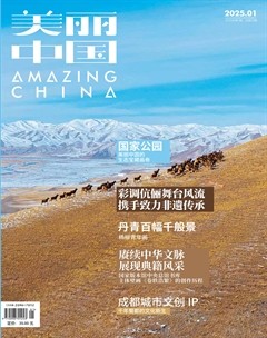 美丽中国