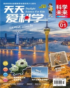 天天爱科学·科学未来
