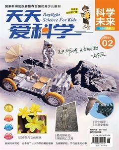 天天爱科学·科学未来