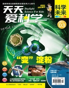 天天爱科学·科学未来