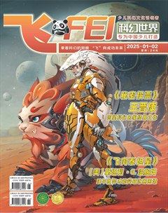 飞