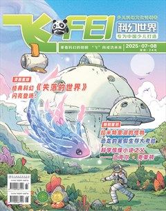 飞