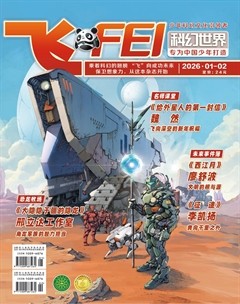 飞
