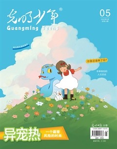 光明少年