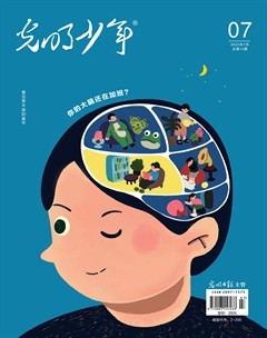 光明少年