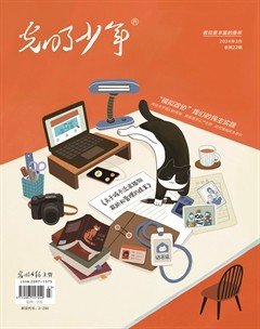 光明少年