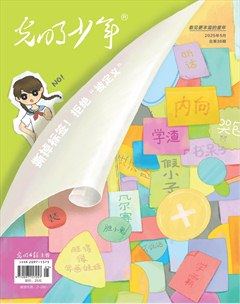 光明少年