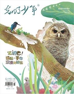 光明少年