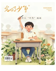 光明少年