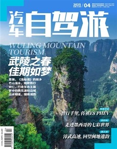 汽車自駕游