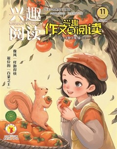 兴趣阅读·兴趣作文与阅读（低年级）