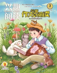 兴趣阅读·兴趣作文与阅读（低年级）