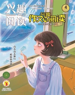 兴趣阅读·兴趣作文与阅读（低年级）