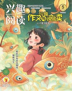 兴趣阅读·兴趣作文与阅读（低年级）