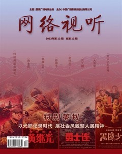 网络视听