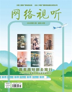 网络视听