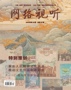 网络视听