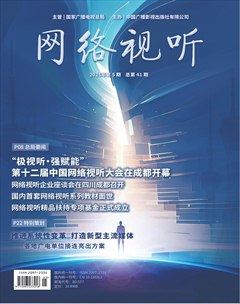 网络视听