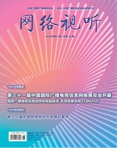 网络视听