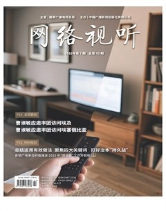 网络视听
