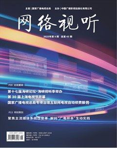 網(wǎng)絡(luò)視聽