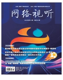 网络视听