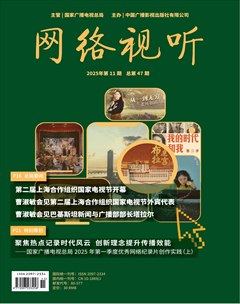 网络视听