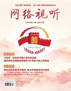 网络视听