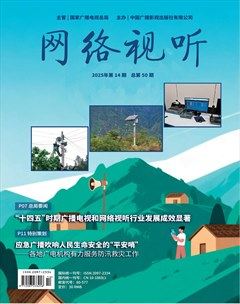 网络视听