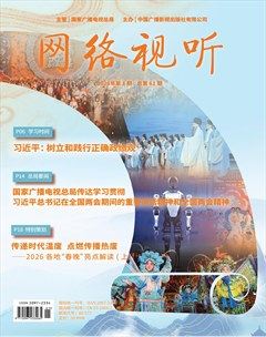 网络视听