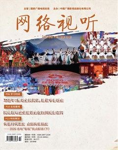 网络视听